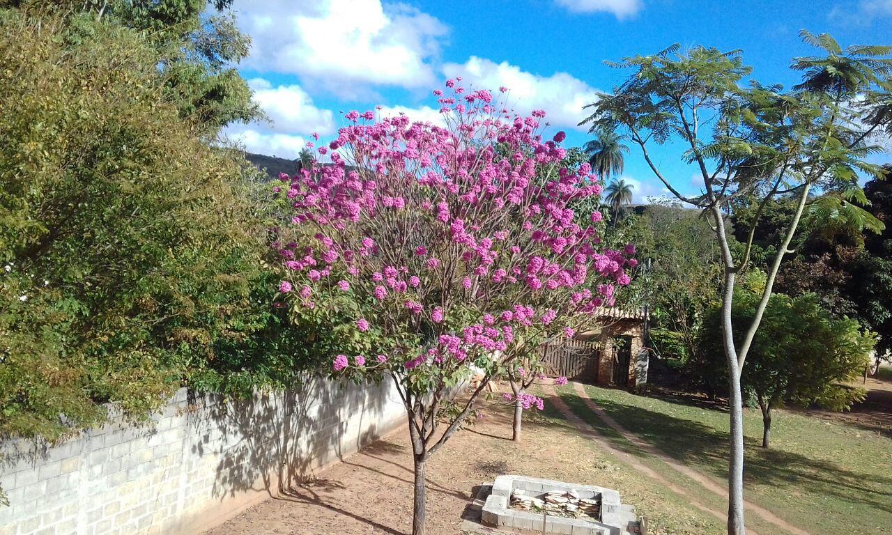 Cipo Hostel Serra do Cipo National Park Extérieur photo